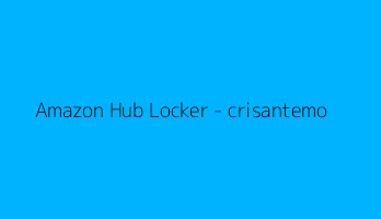 Amazon Hub Locker - crisantemo